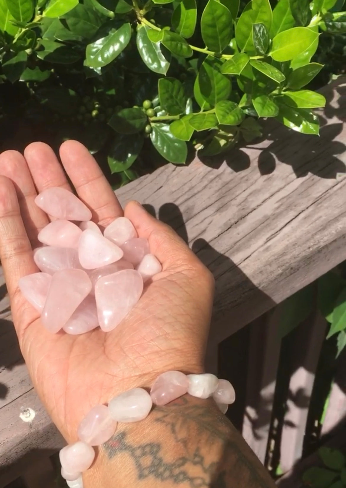 Rose Quartz Crystal