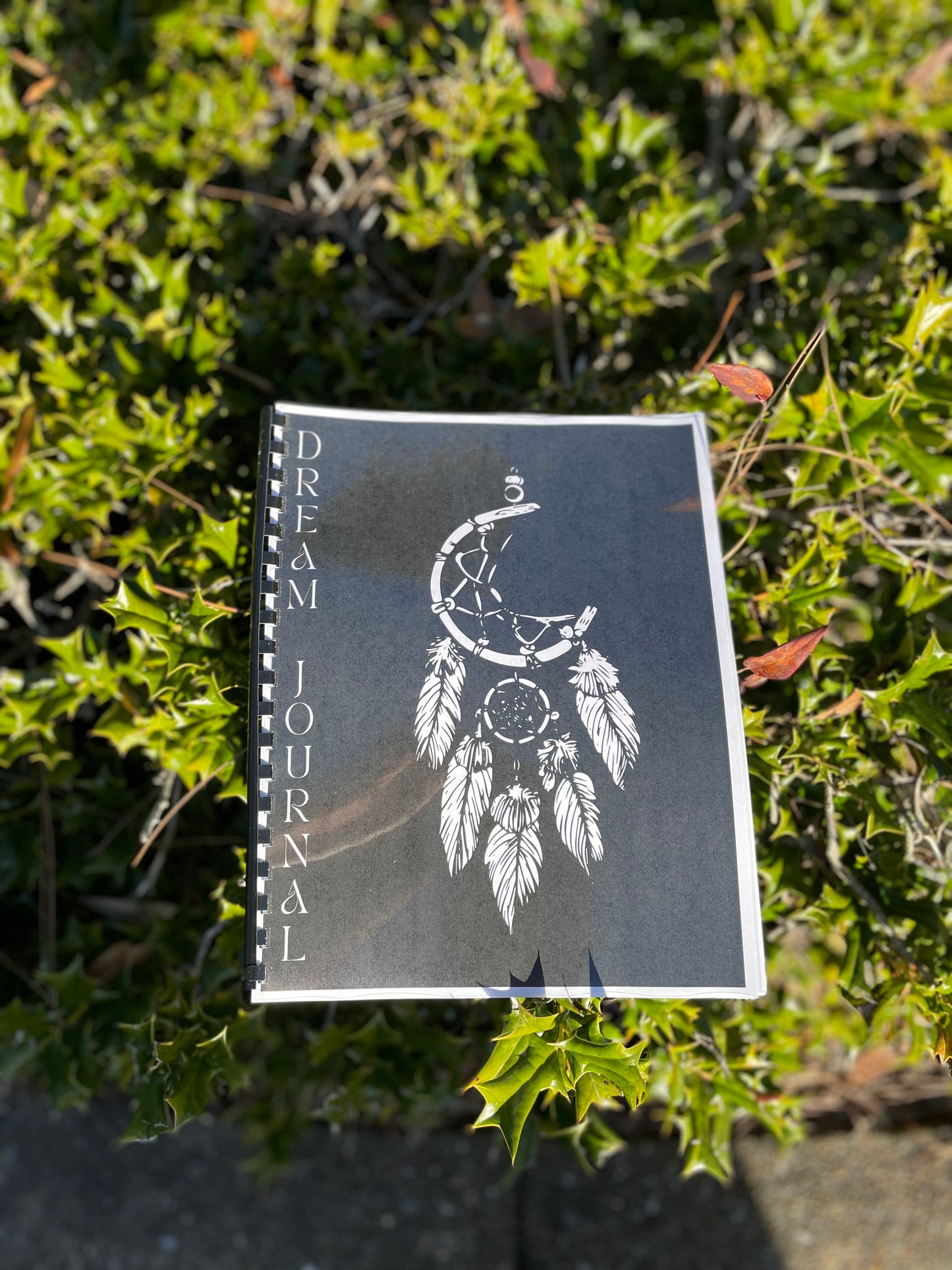 Dream Journal